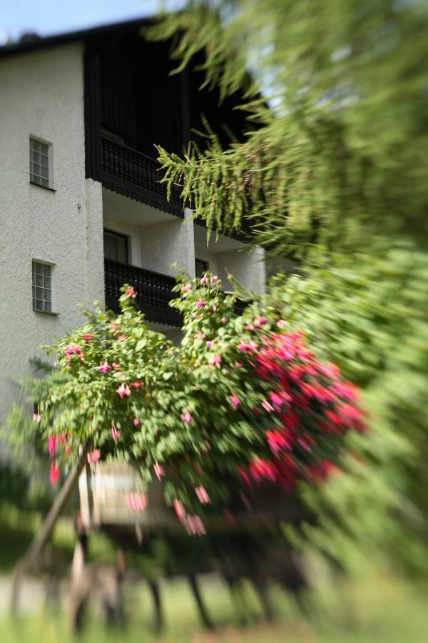 Landhaus Am Forst - Apartments باد ألكسندرباد المظهر الخارجي الصورة